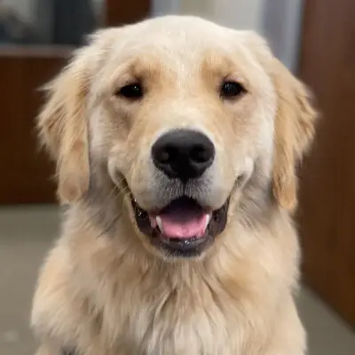 butter_GSP_UID_93fe93f1-f70f-4ca6-a838-0a7c336135c1
